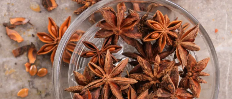 Star Anise